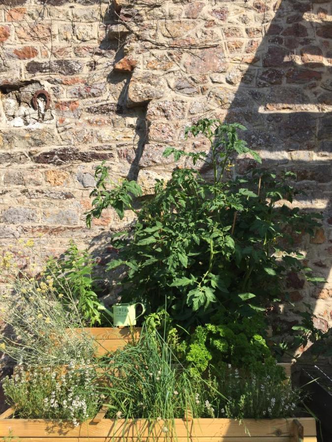 L'Hotie De Broceliande, Au Coeur Des Sites Naturels Et Legendaires Paimpont Exterior foto