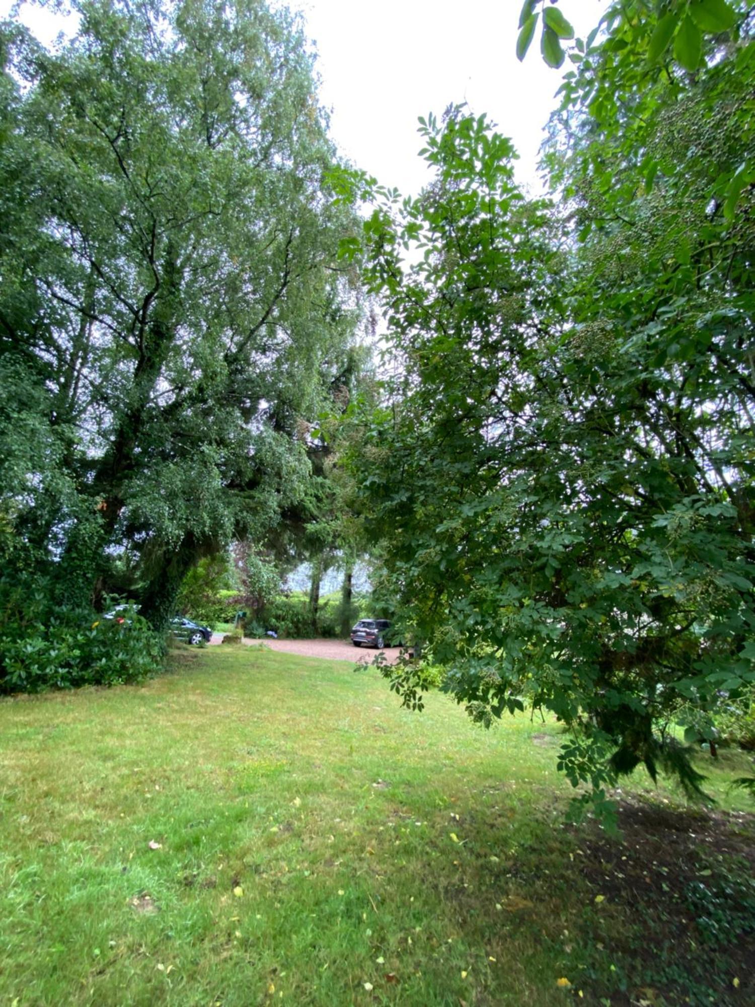L'Hotie De Broceliande, Au Coeur Des Sites Naturels Et Legendaires Paimpont Exterior foto