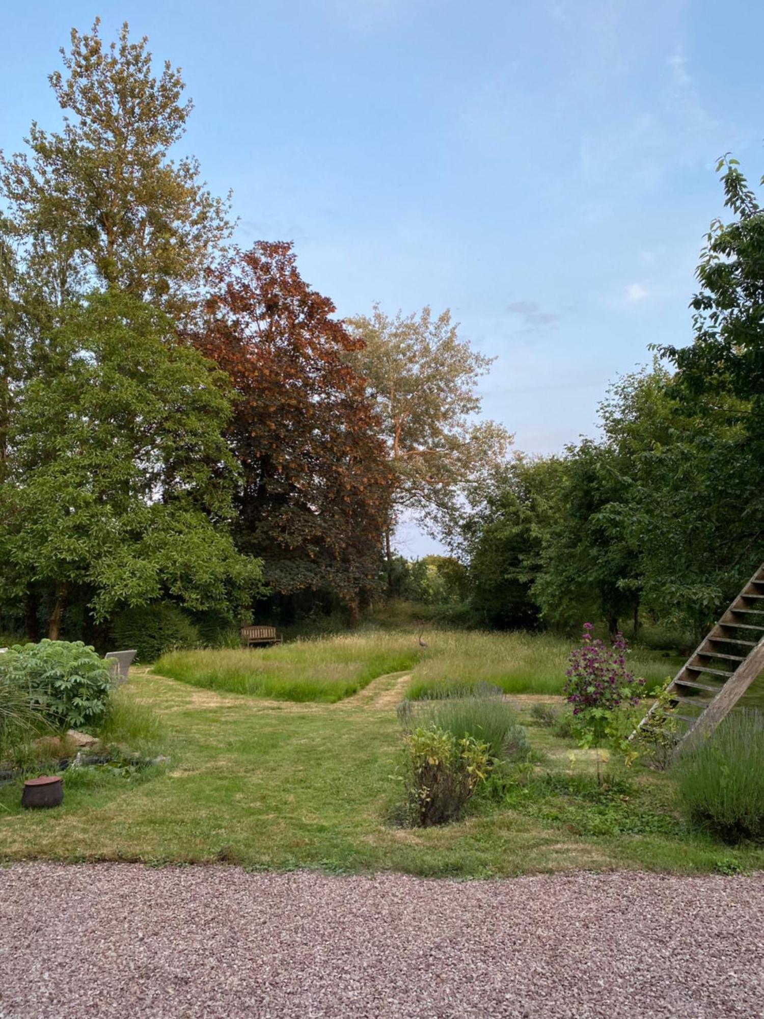 L'Hotie De Broceliande, Au Coeur Des Sites Naturels Et Legendaires Paimpont Exterior foto