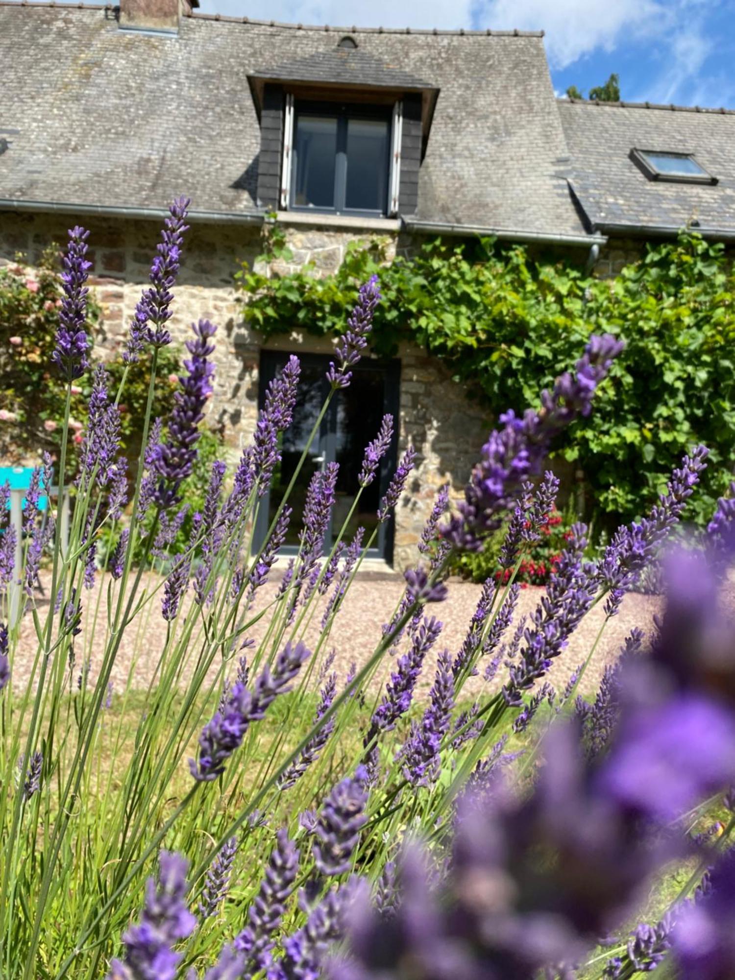 L'Hotie De Broceliande, Au Coeur Des Sites Naturels Et Legendaires Paimpont Exterior foto